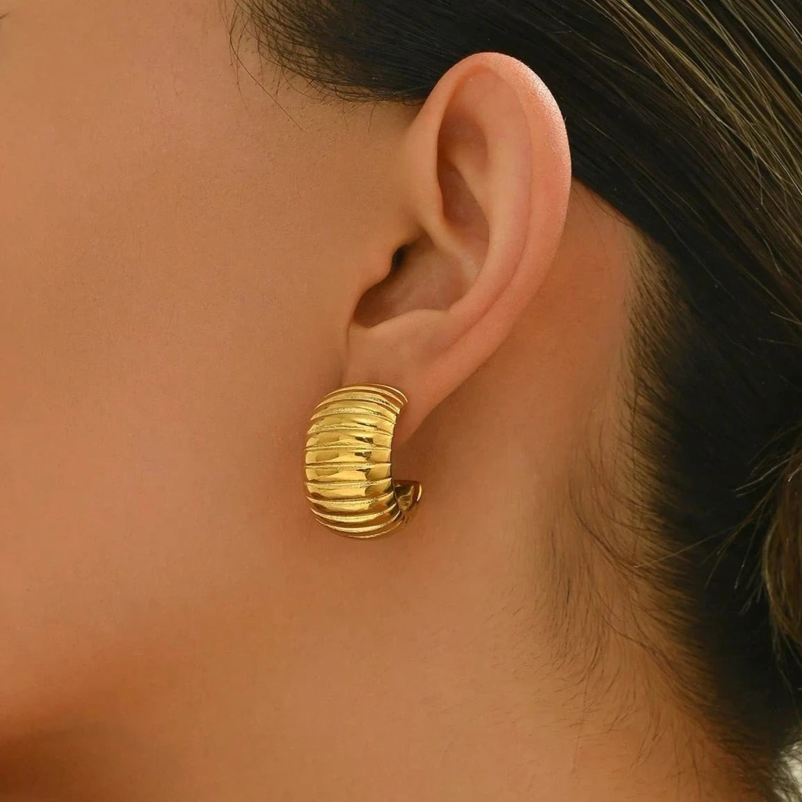 Stainless Steel Striped Bread Design Earrings
