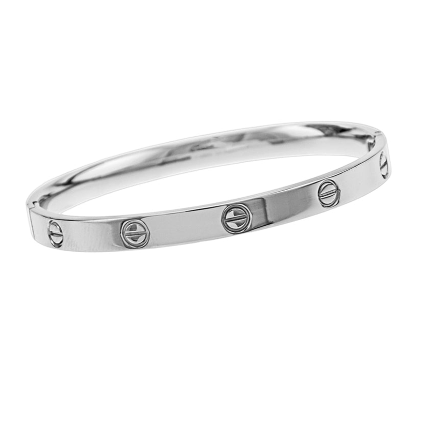 Stainless Steel Hinge Bangle