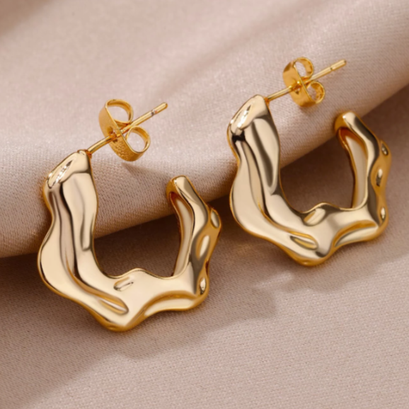 Stainless Steel C-shaped Wave Shaped Geometric Earrings