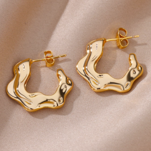 Stainless Steel C-shaped Wave Shaped Geometric Earrings