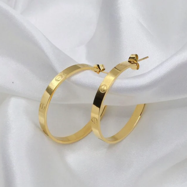 Carier Hoop Earrings Screw Stainless Steel Gold